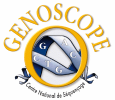 Genoscope's logo and overview access