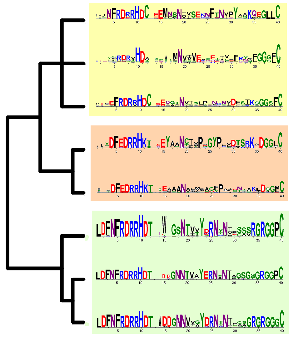 ASMC tree