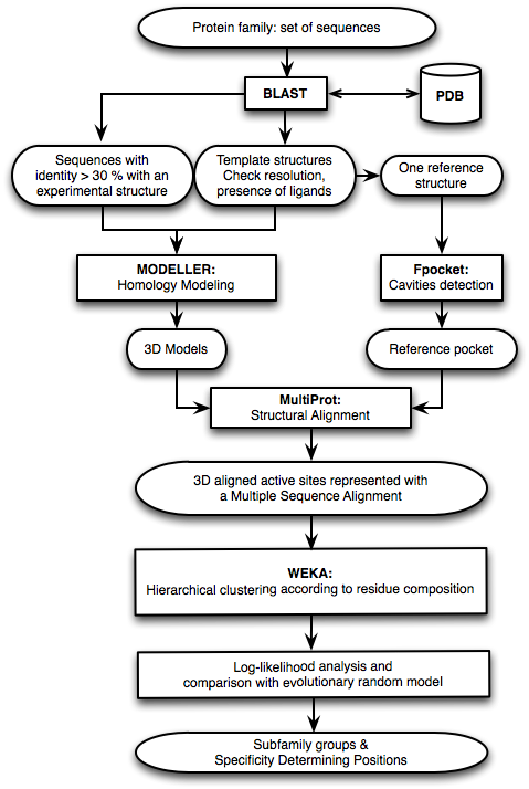 ASMC diagram