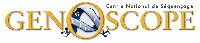 logo Genoscope