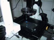 Cell counting