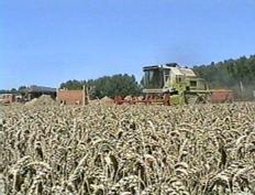 combine harvester