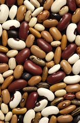 bean