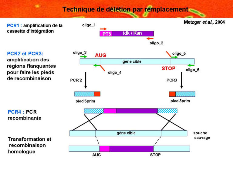 technique de d�l�tion