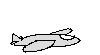 flight