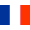 Translate this page in french