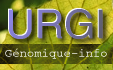 logo de l'URGI