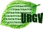 logo de l'URGV